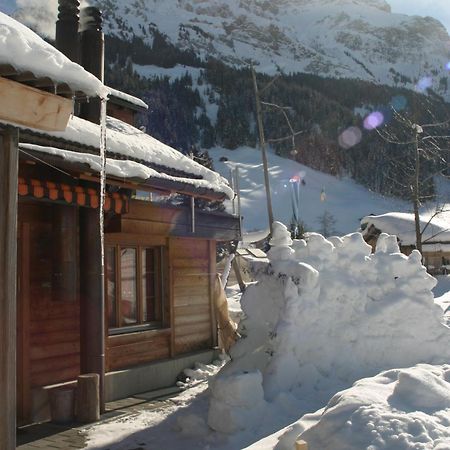 Bergdohle Lägenhet Adelboden Exteriör bild