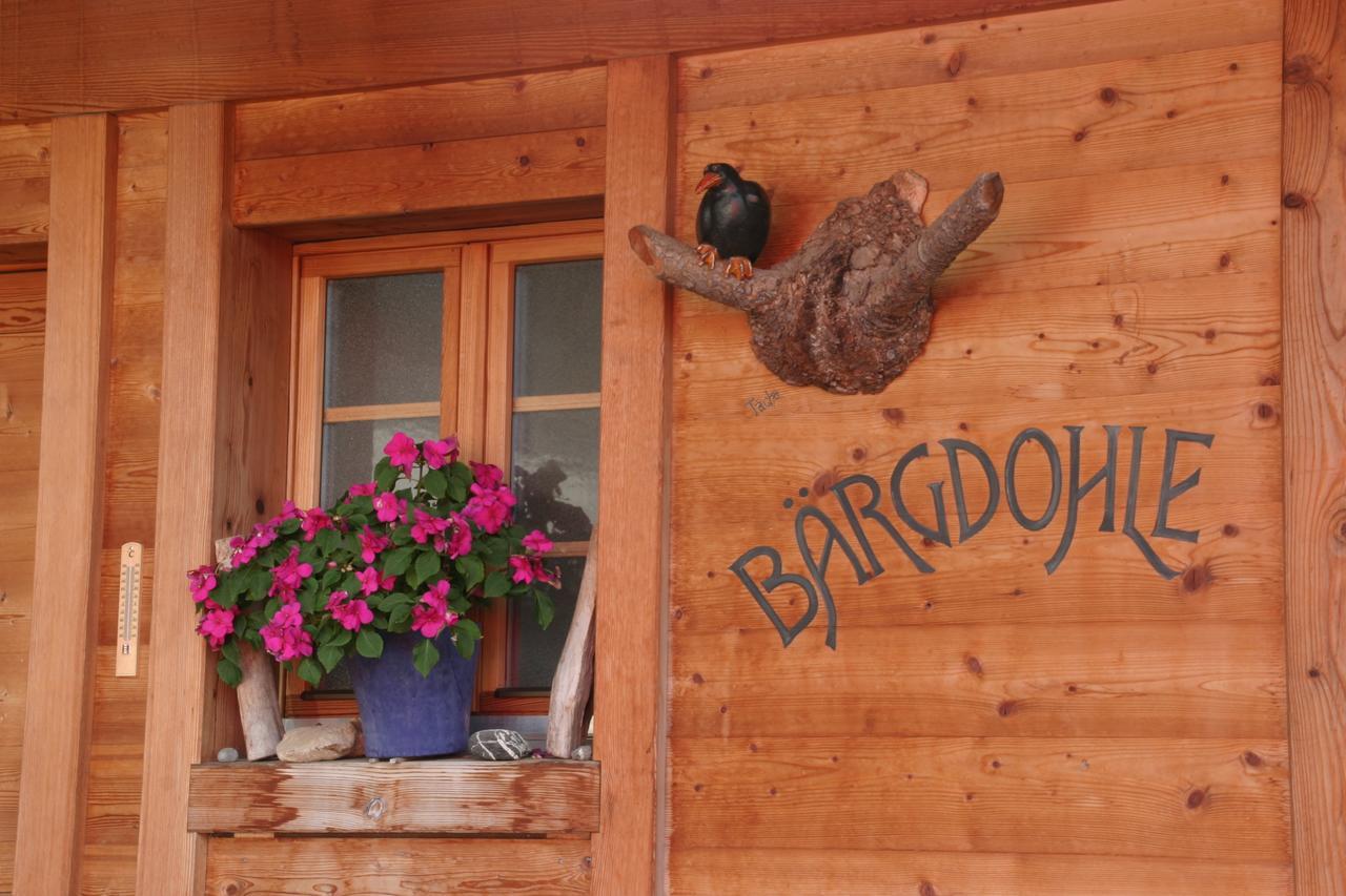 Bergdohle Lägenhet Adelboden Exteriör bild