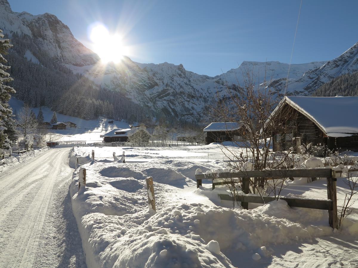 Bergdohle Lägenhet Adelboden Exteriör bild