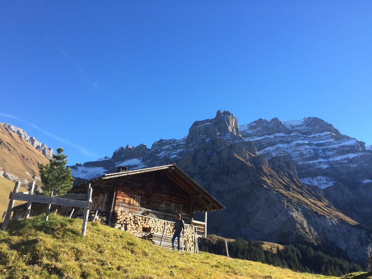 Bergdohle Lägenhet Adelboden Exteriör bild
