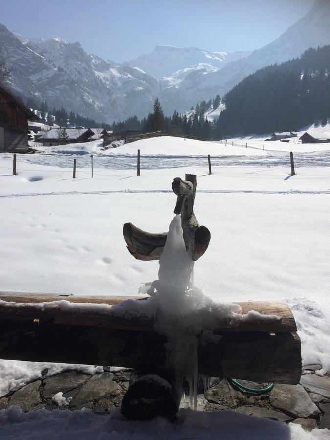 Bergdohle Lägenhet Adelboden Exteriör bild