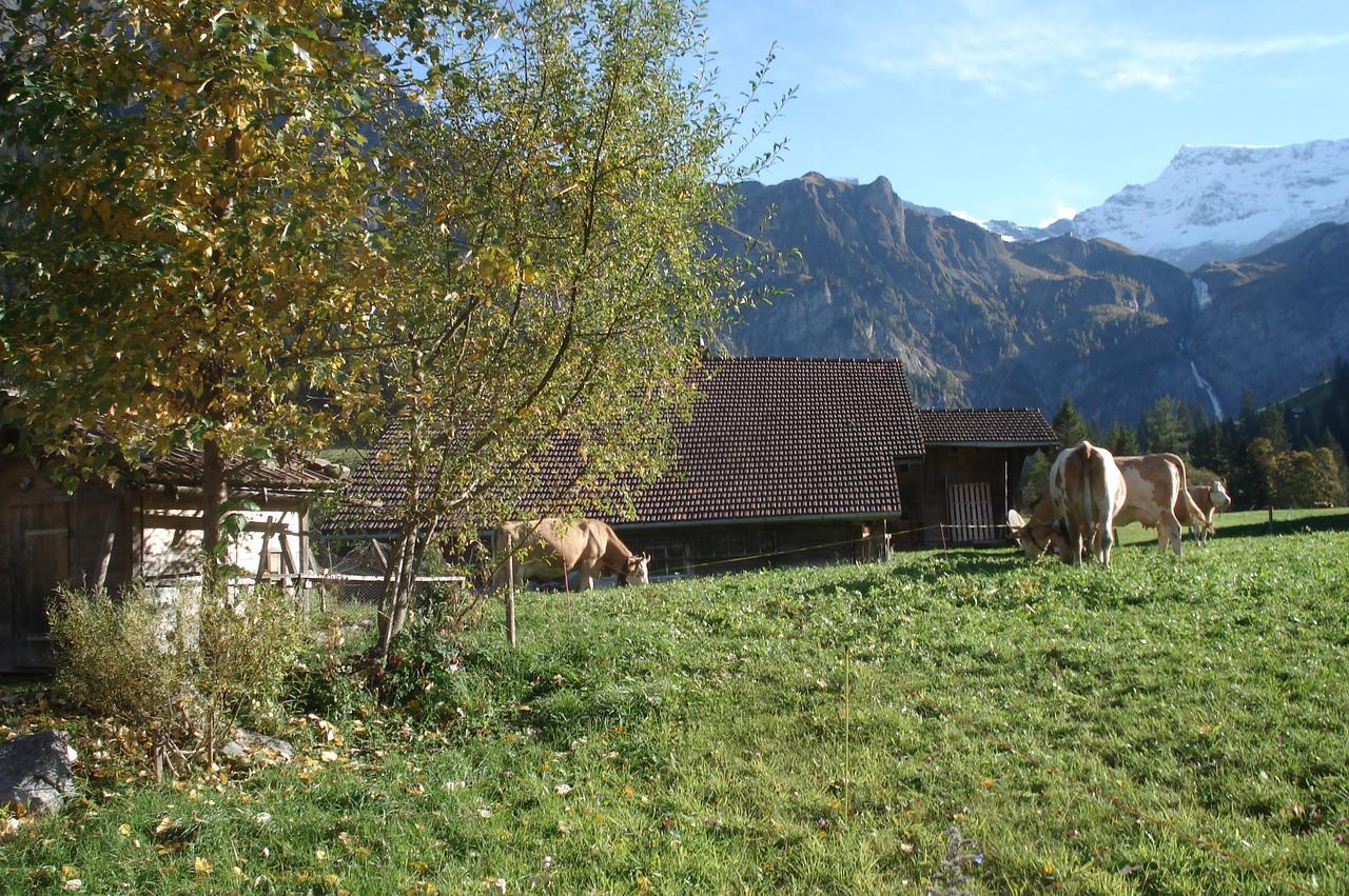 Bergdohle Lägenhet Adelboden Exteriör bild