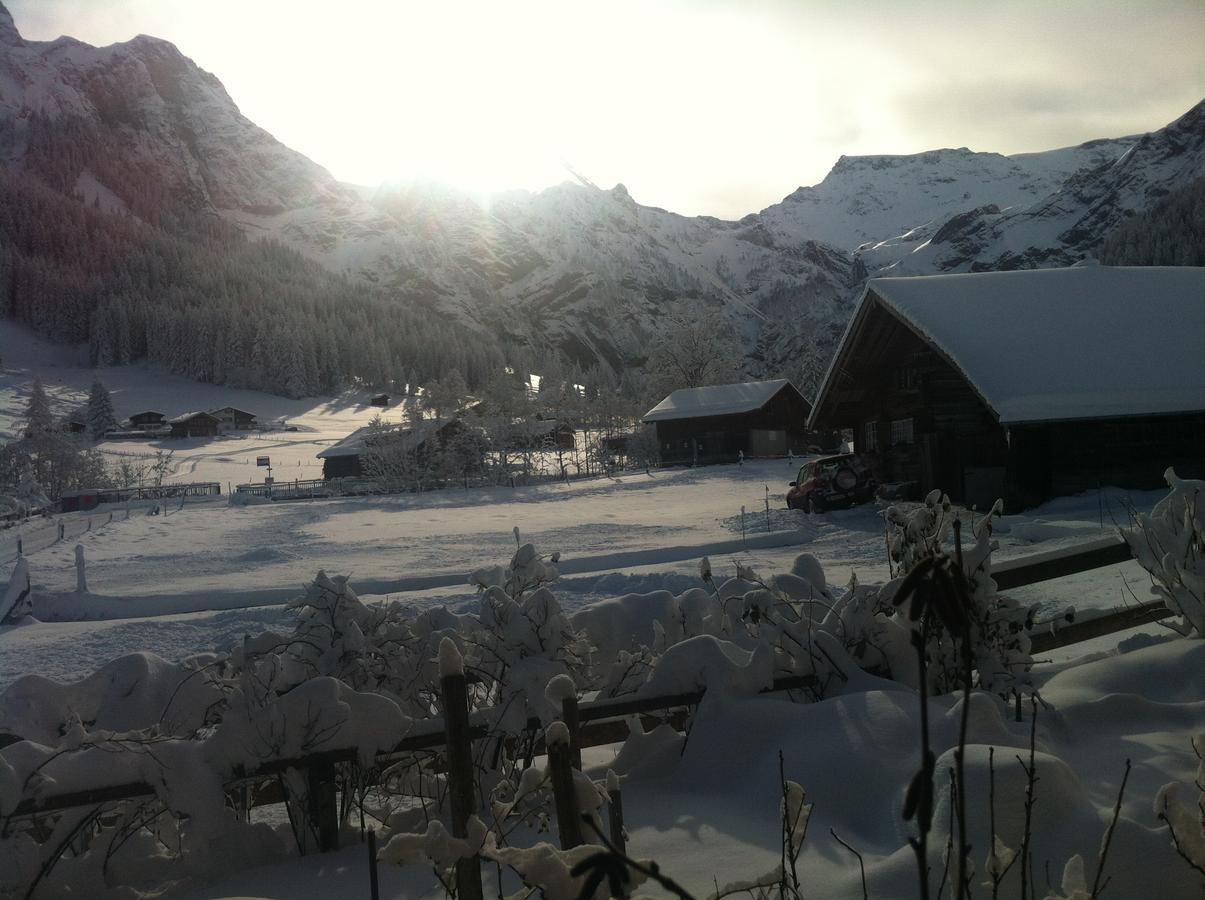 Bergdohle Lägenhet Adelboden Exteriör bild