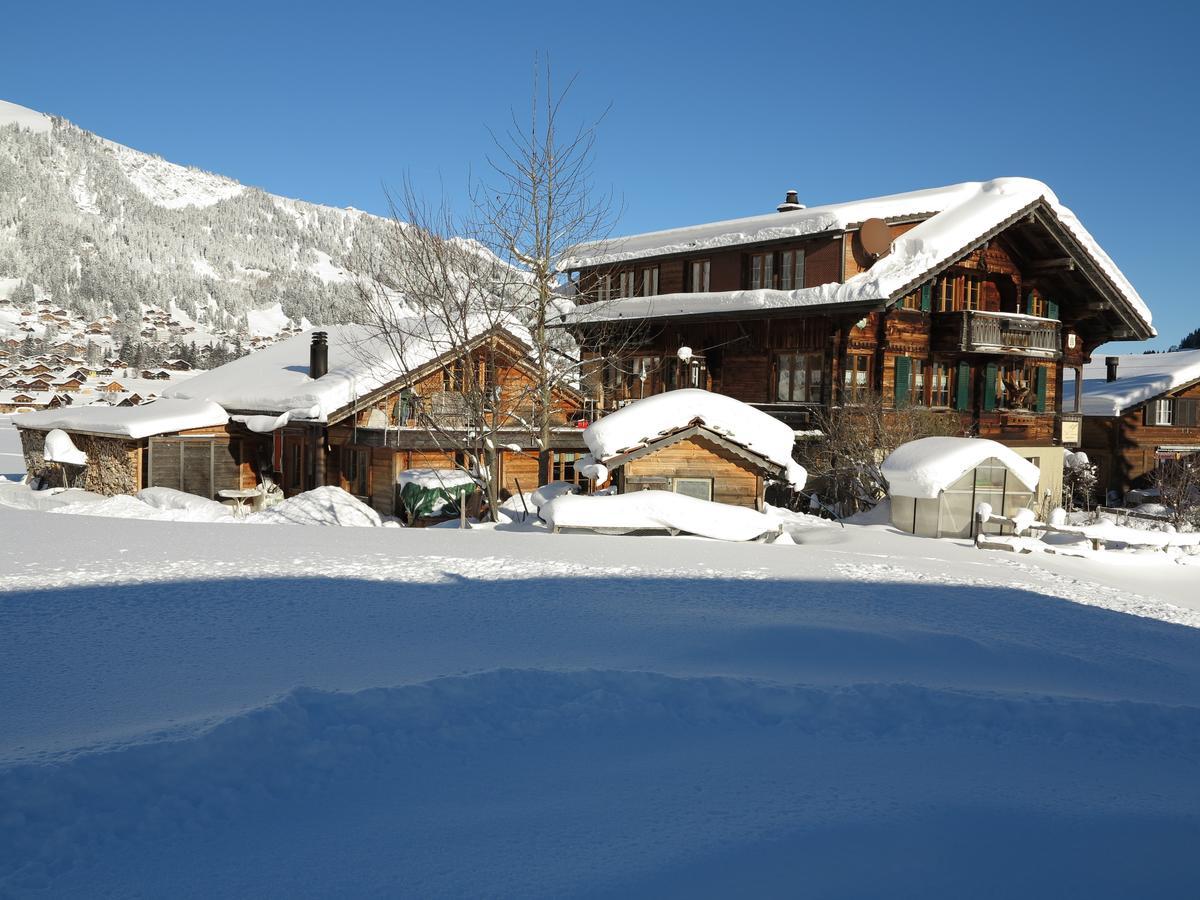 Bergdohle Lägenhet Adelboden Exteriör bild
