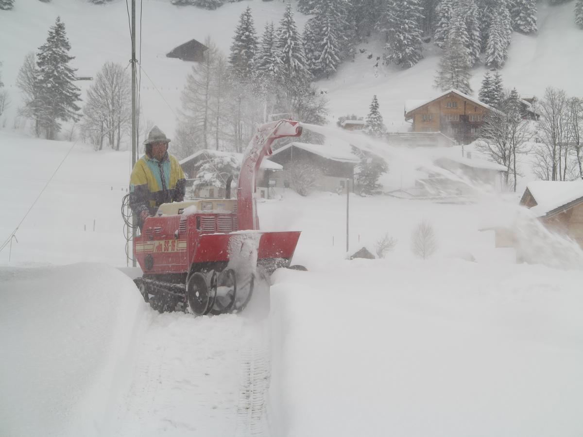 Bergdohle Lägenhet Adelboden Exteriör bild