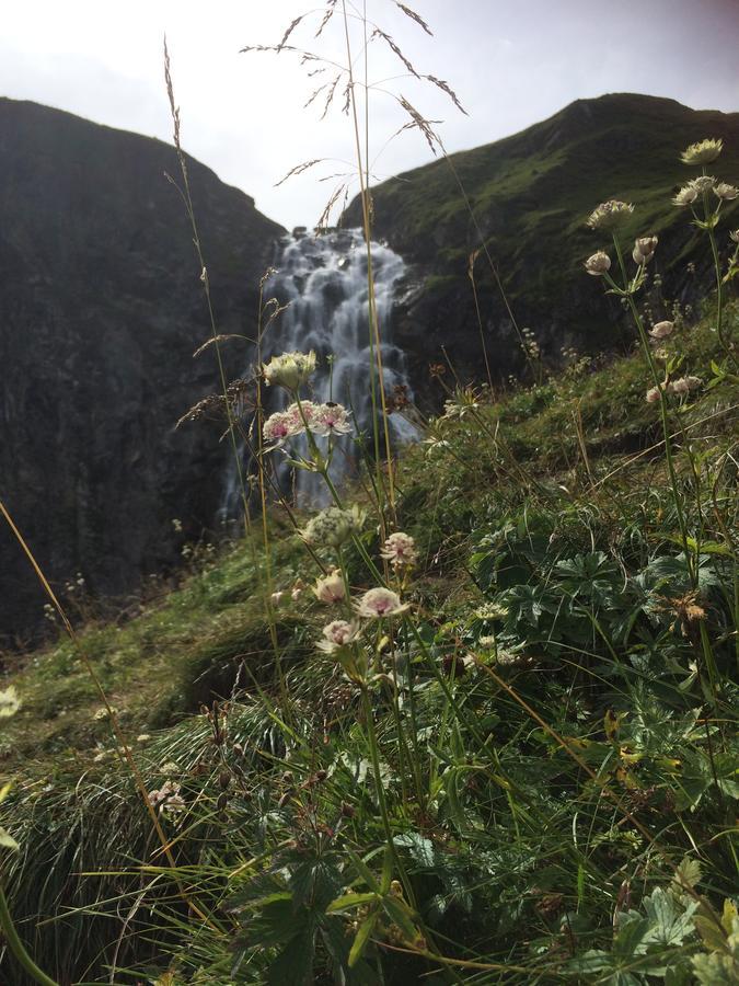 Bergdohle Lägenhet Adelboden Exteriör bild